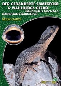 Abbildung von: Der Gebänderte Samtgecko & Wahlbergs Gecko - Natur und Tier