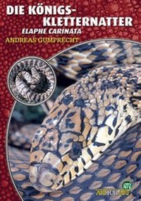 Abbildung von: Die Königskletternatter - Natur und Tier