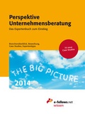 Cover: Perspektive Unternehmensberatung 2014 - e-fellows.net