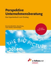 Abbildung von: Perspektive Unternehmensberatung 2014 - e-fellows.net