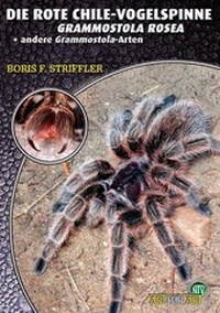 Abbildung von: Die Rote Chile-Vogelspinne - Natur und Tier