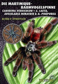 Abbildung von: Die Martinique-Baumvogelspinne - Natur und Tier