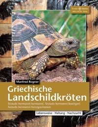 Abbildung von: Griechische Landschildkröten - Natur und Tier
