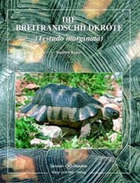 Abbildung von: Die Breitrandschildkröte - Natur und Tier