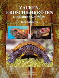 Abbildung von: Zacken-Erdschildkröten - Natur und Tier