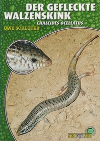 Abbildung von: Der Gefleckte Walzenskink - Natur und Tier