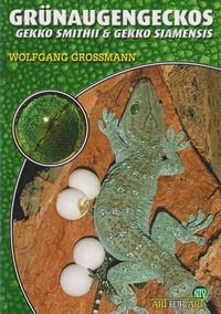 Abbildung von: Grünaugengeckos - Natur und Tier