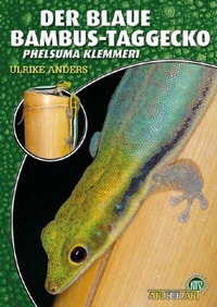 Abbildung von: Der Blaue Bambus-Taggecko - Natur und Tier