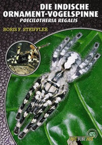 Abbildung von: Die Indische Ornamentvogelspinne - Natur und Tier