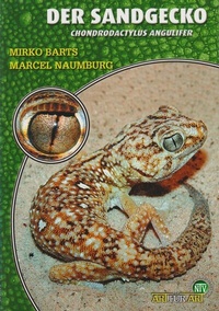 Abbildung von: Der Sandgecko - Natur und Tier