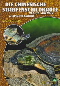 Abbildung von: Die Chinesische Streifenschildkröte - Natur und Tier