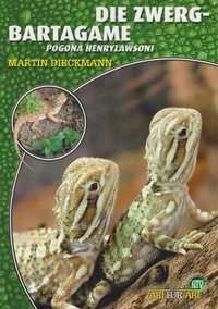 Abbildung von: Die Zwergbartagame - Natur und Tier