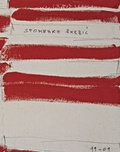 Cover: Spomenko Skrbic. Arbeiten 1999-2009 - Verlag f. mod. Kunst