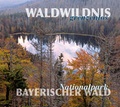 Cover: Waldwildnis grenzenlos - Buch- & Kunstverlag Oberpfalz