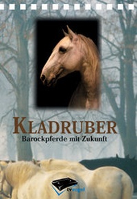 Abbildung von: Kladruber - pferdia GmbH