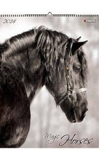 Abbildung von: Magic Horses - Tushita PaperArt