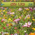 Cover: Good luck - Tushita PaperArt GmbH