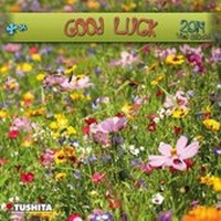 Enlarge image Cover: Good luck - Tushita PaperArt GmbH