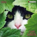 Cover: Cats - Tushita PaperArt GmbH