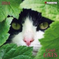 Enlarge image Cover: Cats - Tushita PaperArt GmbH