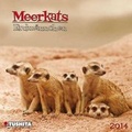 Cover: Meerkats - Tushita PaperArt GmbH