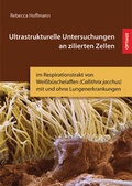 Cover: Ultrastrukturelle Untersuchungen an zilierten Zellen - Sievers & Partner