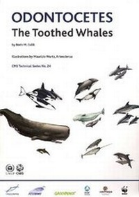 Abbildung von: Odontocetes - UNEP - CMS