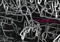 Cover: Tina Haase - Technische Universit&auml;t M&uuml;nchen - TUM School of Engineering and Design