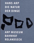 Cover: Hans Arp - Richter Verlag