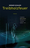 Cover: Treibholzfeuer - Triptychon