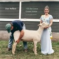Cover: Dan Nelken - Kehrer Verlag