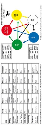 Abbildung von: Die Fünf-Elementenlehre am Pferd - APM-Akademie