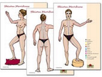 Abbildung von: Meridiane 3 Shiatsu Meridian Schaubilder DIN A2 - ShenDo Verlag