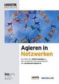 Cover: Agieren in Netzwerken - Huss-Verlag