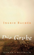 Cover: Die Grube - Dittrich Verlag ein Imprint der Velbr&uuml;ck GmbH B&uuml;cher und Medien