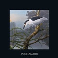 Cover: Vogelzauber - B.O.S.S
