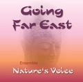 Cover: Going Far East - Steinhardt, A