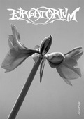 Cover: Jirka Pfahl: Purgatorium - Lubok Verlag