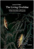 Cover: The living Ovulidae - ConchBooks