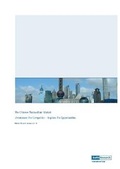 Cover: The Chinese Photovoltaic Market - Hoehner Research & Consulting Group