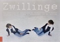 Cover: Zwillinge - Stiftung K&uuml;nstlerdorf Sch&ouml;ppingen