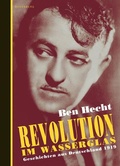 Cover: Revolution im Wasserglas - Berenberg