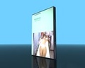Cover: Neurodermitis - Behandlung nach dem Hamburger Modell - Video-Commerz