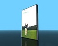 Cover: Von Flop zu Top - Video-Commerz