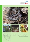 Cover: Atlas der Amphibien und Reptilien Schleswig-Holsteins - Landesamt f&uuml;r Landwirtschaft, Umwelt und l&auml;ndliche R&auml;ume Schleswig-Holstein