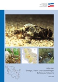 Cover: Atlas der Eintags-, Stein- und K&ouml;cherfliegen Schleswig-Holsteins - Landesamt f&uuml;r Landwirtschaft, Umwelt und l&auml;ndliche R&auml;ume Schleswig-Holstein