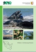 Cover: Wildnis in Schleswig-Holstein - Landesamt f&uuml;r Landwirtschaft, Umwelt und l&auml;ndliche R&auml;ume Schleswig-Holstein