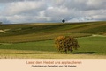 Cover: Lasst dem Herbst uns applaudieren - Reihenhaus Verlag