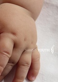 Cover: HRVST Youth - Averse Publishing
