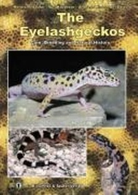 Abbildung von: The Eyelash Geckos - Kirschner